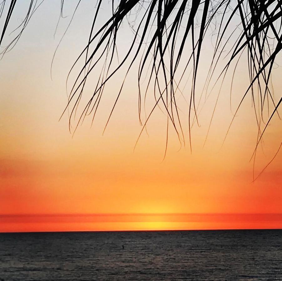 301 Sandy Shores Condos St. Pete Beach Kültér fotó